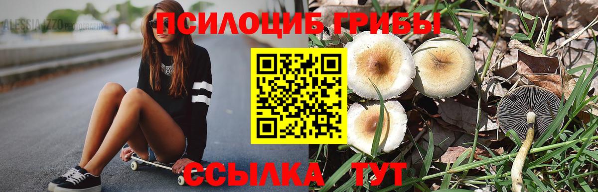 Галлюциногенные грибы MAGIC MUSHROOMS Ухта