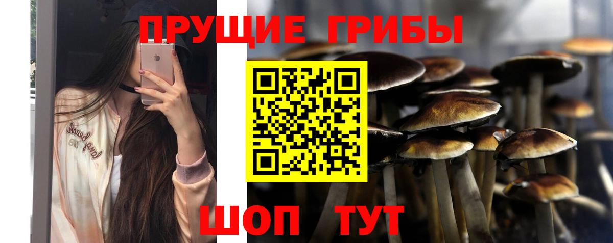 Ухта  Псилоцибиновые грибы прущие грибы  Псилоцибиновые грибы Psilocybine cubensis  Вход с VPN 
